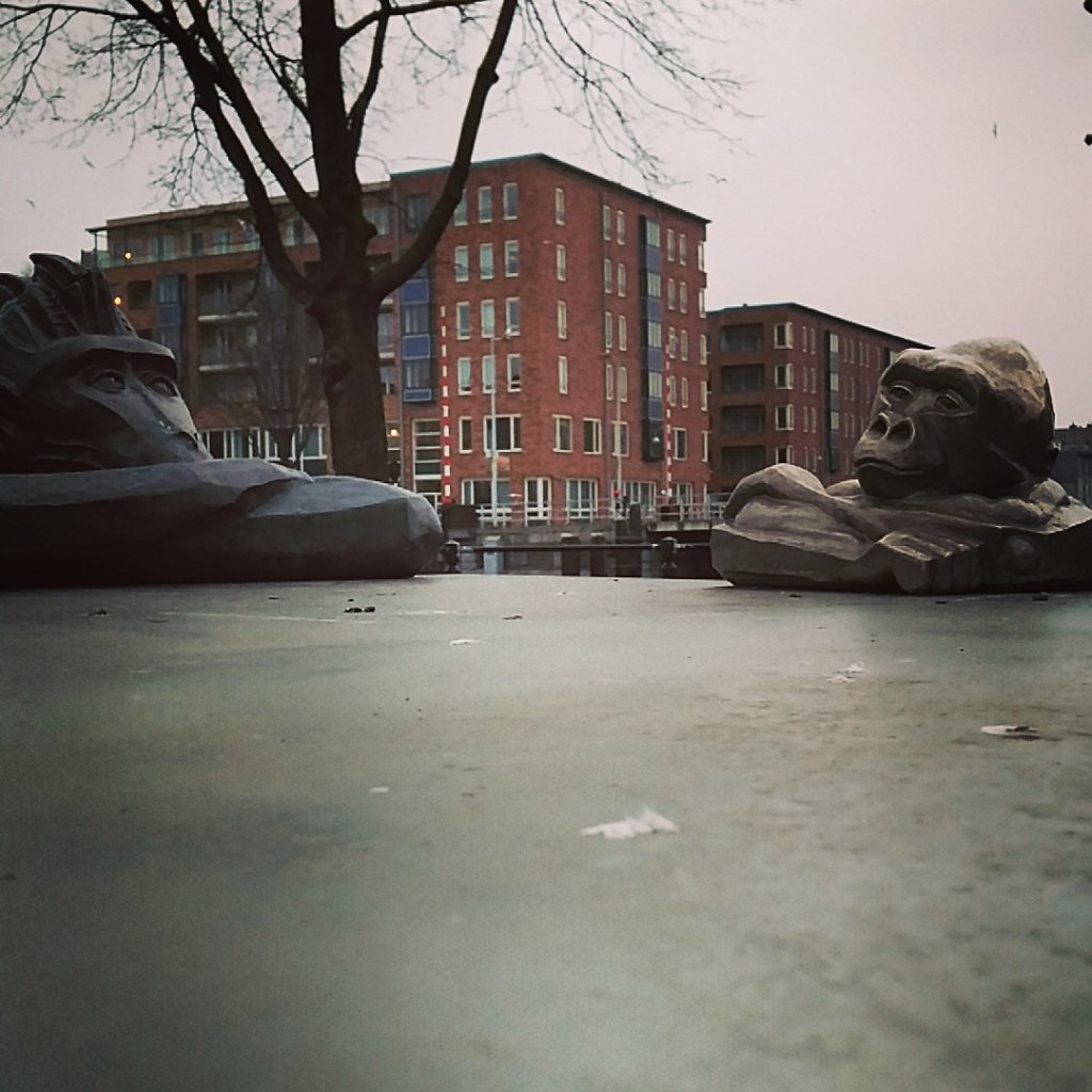 IMG-20160214-113311.jpg