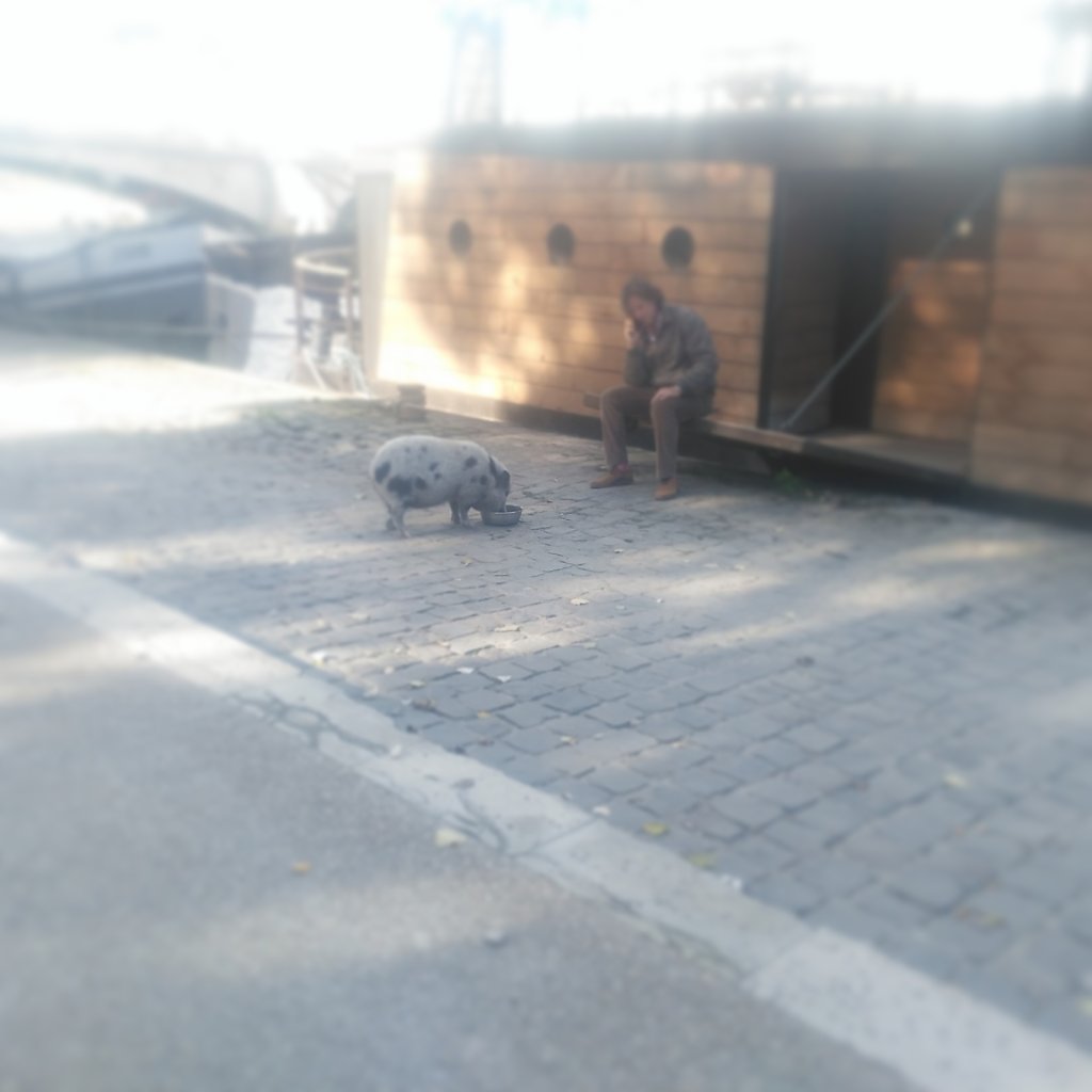 IMG-20171006-162240-364.jpg