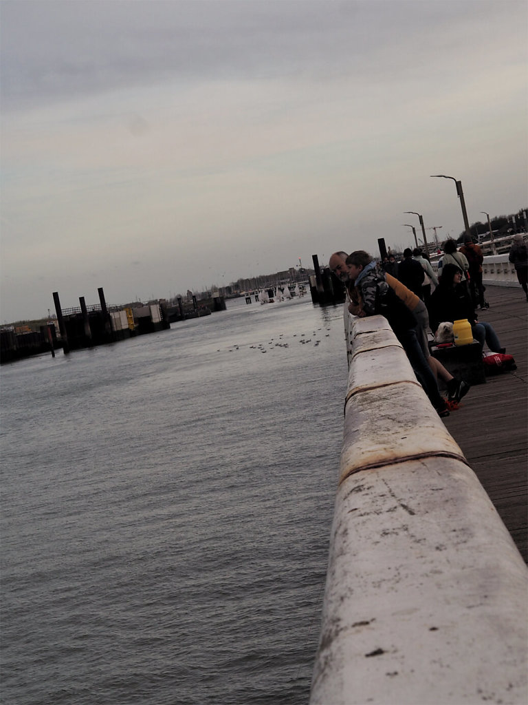 PB020730-01-copie.jpg