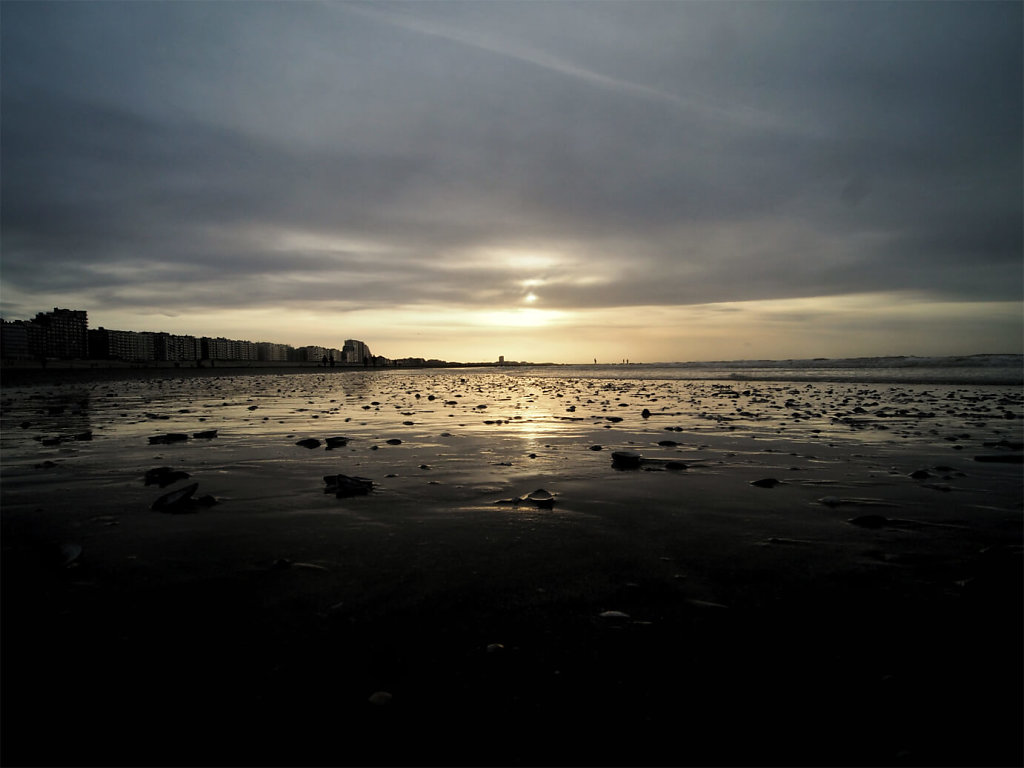 PB020733-01-copie.jpg