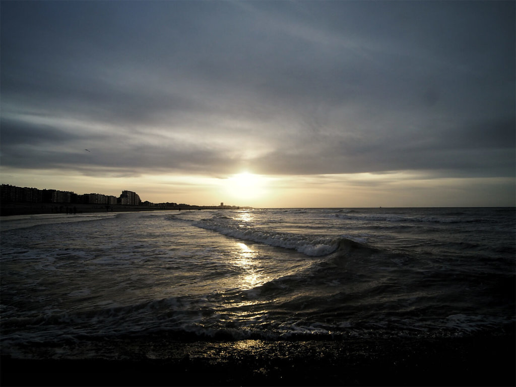 PB020740-01-copie.jpg