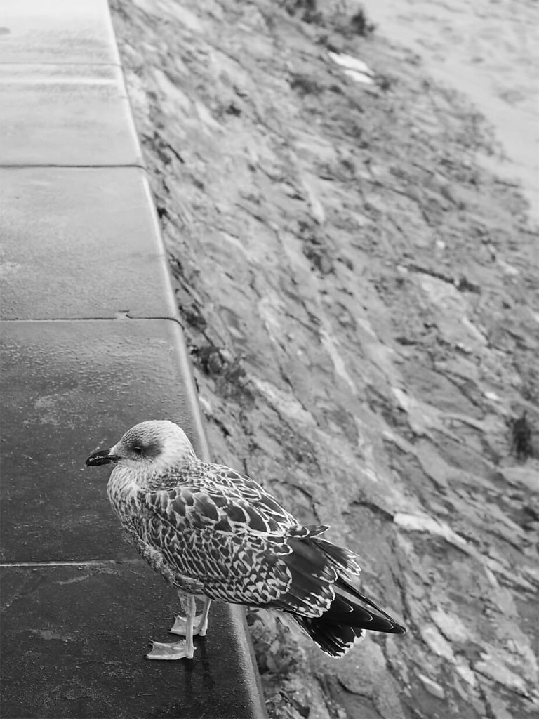 PB040785-01-copie.jpg
