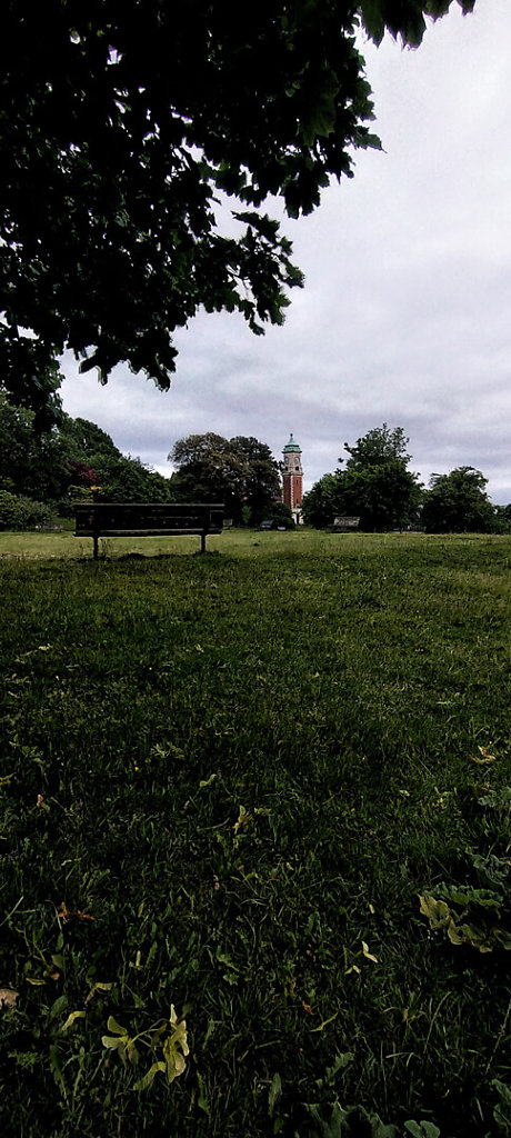 IMG-20250603-174202963-HDR.jpg