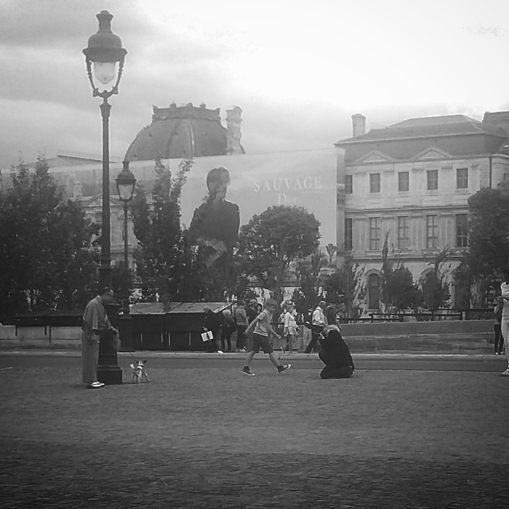 IMG-20170723-180142-099.jpg