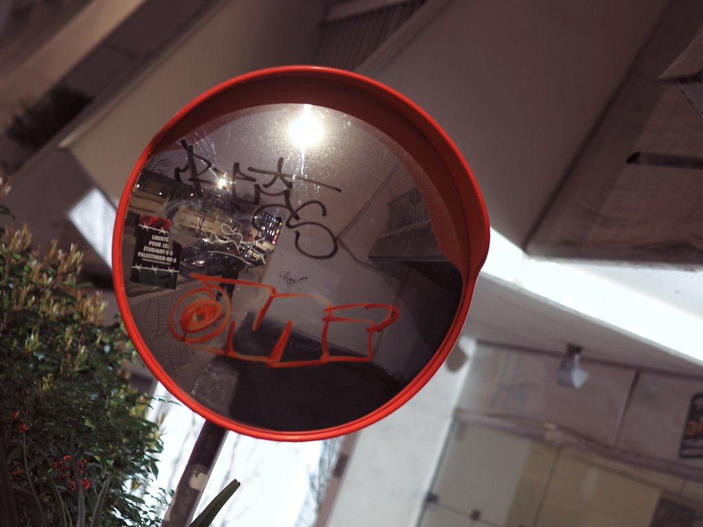 P2231716-01.jpeg